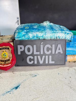 A Polícia Civil do Amazonas (PC-AM) apreendeu, na segunda-feira (3), quatro tabletes de maconha tipo “skunk” e pasta base de cocaína avaliados em mais de R$ 100 mil no município de Tefé, a 523 quilômetros de Manaus. O material estava escondido dentro de uma saca de farinha, transportada em um barco regional que havia atracado no porto da cidade.