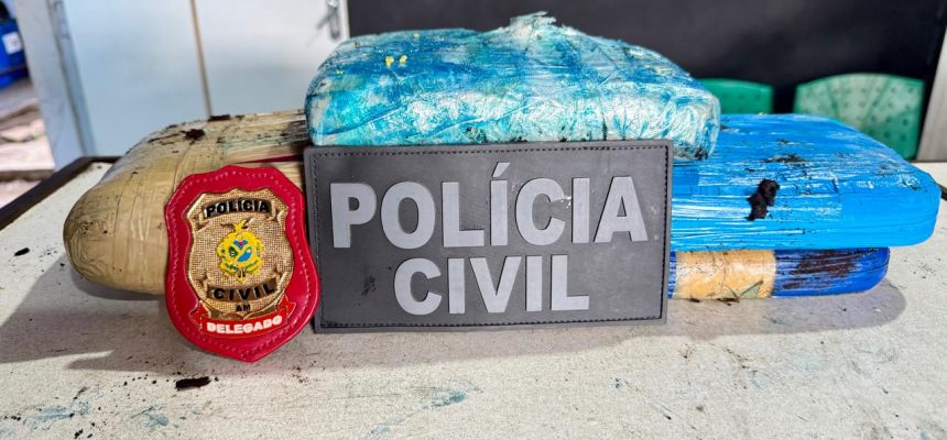 A Polícia Civil do Amazonas (PC-AM) apreendeu, na segunda-feira (3), quatro tabletes de maconha tipo “skunk” e pasta base de cocaína avaliados em mais de R$ 100 mil no município de Tefé, a 523 quilômetros de Manaus. O material estava escondido dentro de uma saca de farinha, transportada em um barco regional que havia atracado no porto da cidade.
